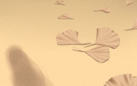 關(guān)于萬(wàn)姓的來(lái)源：萬(wàn)姓姓源考究