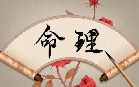 時辰論命 戊子日生于寅時 寅時出生聰明常與貴人交往
