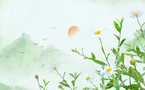 兔人2023年出生年份的吉祥物