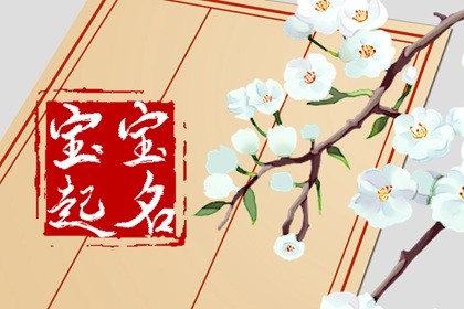 從周易角度出發，為屬兔男孩起一個前程似錦大富大貴的名字